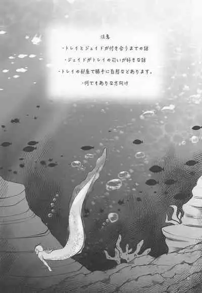 (Beckon of the Mirror 9) [Sumiyaki Teishoku (Toriniku)] Anata no Nioi de Itte Shimaimasu (Disney: Twisted-Wonderland)