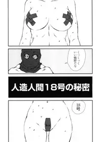 [Rippadou (Liveis Watanabe)] 18+2 (Dragonball Z)