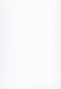 (C86) [Molotov Cocktail (Oowada Tomari)] Blade Blade VI (Queen's Blade) [English] [SaHa]