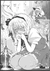 (Kouroumu 6) [Ankoku-Bousougumi (Ainu Mania)] Myon na Kayoi Tsuma 2 Mini Assorted Pack (Touhou Project)