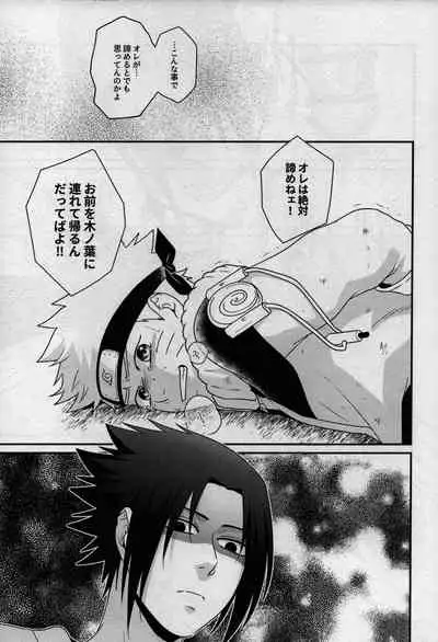 Kage no Katachi ni Shitagau ga gotoshi