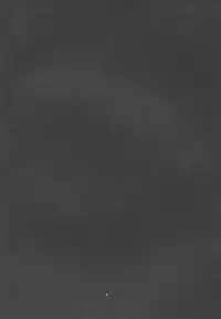 (Reitaisai 12) [Happiness Milk (Obyaa)] Yuuwaku Usagi wa Mazo Usagi (Touhou Project)