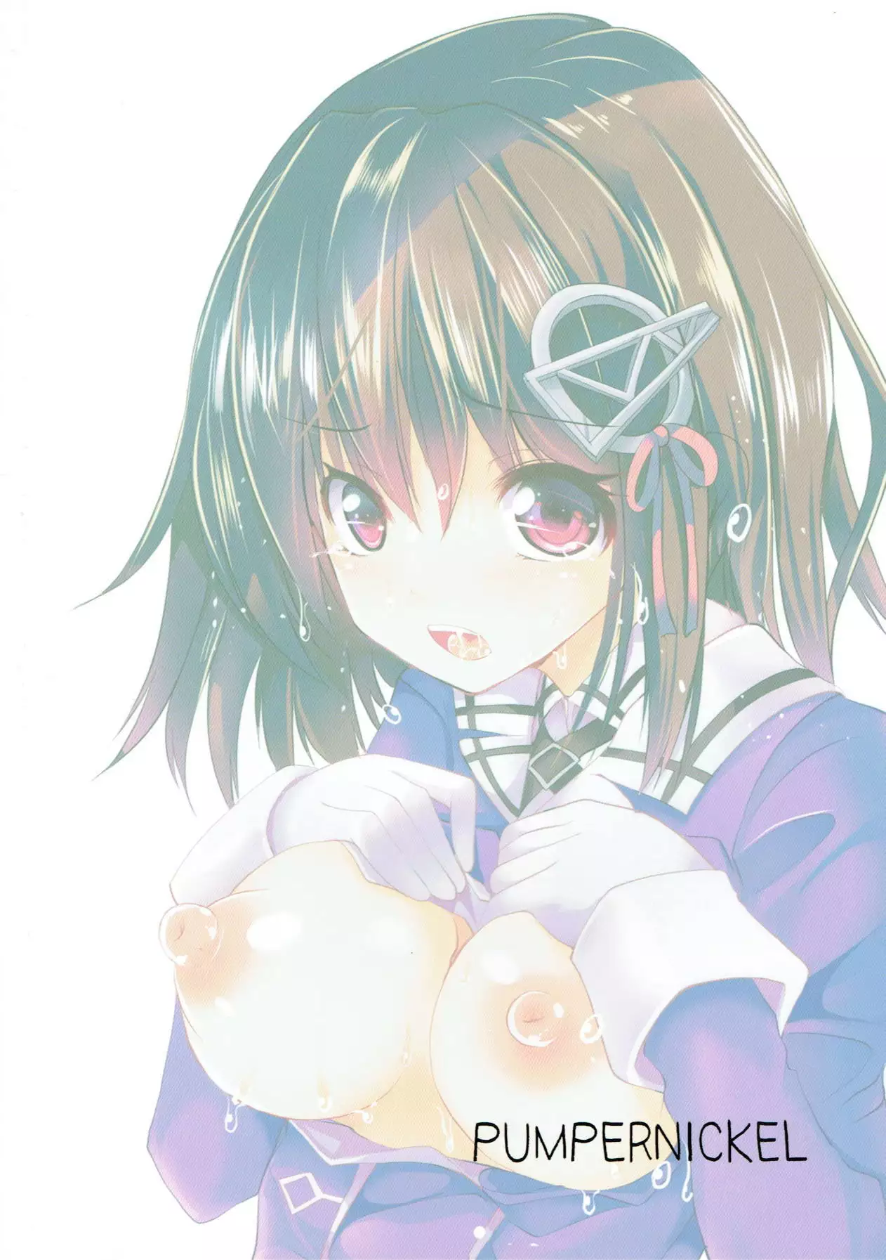 Haguro-san to H Suru dake no Hon