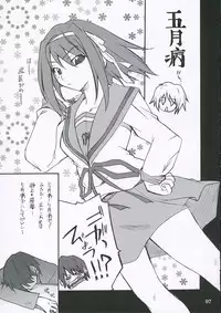 (CC10) [P.Forest (Hozumi Takashi)] Mousou Desho Desho? (The Melancholy of Haruhi Suzumiya)