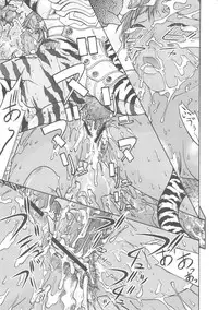 [From Japan] FYC R11Y (Various)