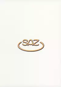 (C88) [SAZ (Onsoku Zekuu)] Vivio Ijiri (Mahou Shoujo Lyrical Nanoha)