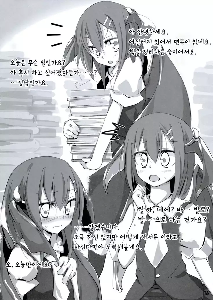 Touhou Kutsushita Bon 2 | 동방양말책2