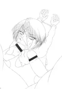 (C71) [Dress (Various)] RUMBLU-EX (RUMBLE ROSES)