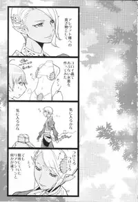 (C75) [Robina go round (Robina)] Otome no Kiss (Final Fantasy XI)