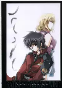 (C68) [FANTASY WIND (Shinano Yura)] satisfy (Gundam SEED DESTINY)