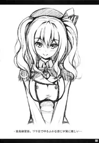 (C89) [Noritama-gozen (Noritama)] Kashima no Shinkon Enshuu Nisshi (Kantai Collection -KanColle-)