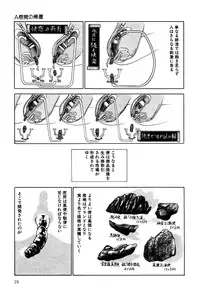 [Kago Shintarou] Dekoboko Nymphomania - Slapstick Nympho Mania (1995)