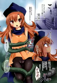 (C77) [Fumikan. (Natsume Fumika)] Himeshiki (Dragon Quest IV)