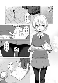 (COMIC1☆11) [Sekine (Sekine Hajime)] "Aan" tte Itteru desho (Girls und Panzer) [Chinese] [Type79G个人汉化]