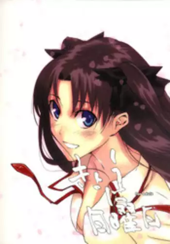 (C71) [Moriisan-Tokono (Morii Shizuki)] Kyouha Nichiyoubi. (Fate/stay night)