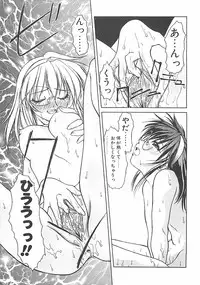 [Shizaki Masayuki] Abyssinian