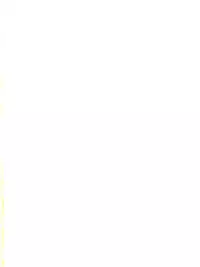 (CR14) [Studio Zettaiaku (Various)] Gokuaku Daihyakkaten (Ghost Sweeper Mikami)