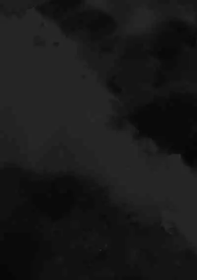 Insect Research Institute 2