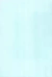 (C80) [Nyaa. to Hidamari (Takamoto Akisa)] Youjuu dakara Daijoubu! (Touhou Project)