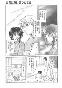 [Shizaki Masayuki] Abyssinian