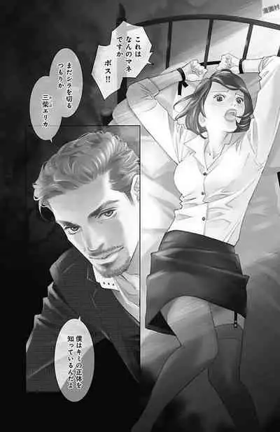 Subete Ai no Shiwaza/愛調教成性俘虜/爱调教成性俘虏/すべて愛のしわざ——もんでんあきこ vol 1-3End