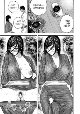 Koisugi | 코이스기