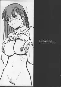 (C66) [TEX-MEX (Red Bear)] Fate/Shisei Yon-shiki Doujin (Fate/stay night)