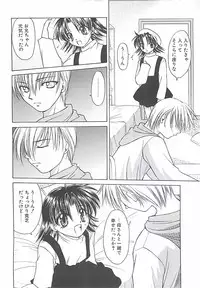 [Shizaki Masayuki] Abyssinian