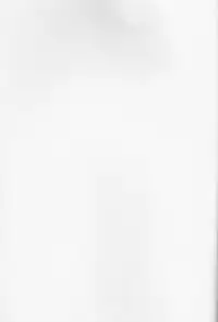 [Bohyadam (Pomeko, Amano Sumi)] Kemomimi! | Animal Ears (D.Gray-man) [English] [biribiri] [Incomplete]