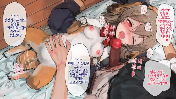 bijinmeninu no kaikata