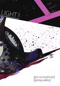 (C92) [Gin no Hoshitei (Tamiya Akito)] LIGHT... MORE LIGHT! (Fate/Grand Order)