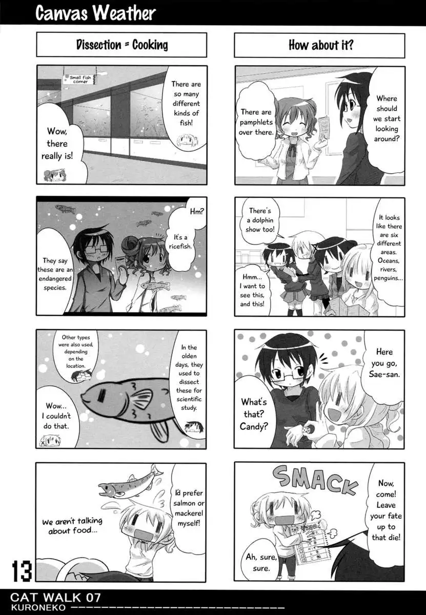 CAT WALK 07 Hidamari ? Magica