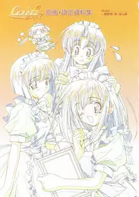 Canvas Visual Fan Book