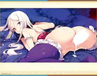 Eiyuu*Senki GOLD Visual Fanbook