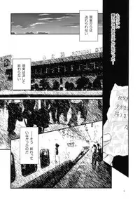 (C66) [Jitsuyou Tosho Fukyuukai R (Hotaruri, Pino)] The addictive VI (Black Cat)