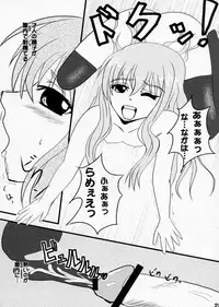 (SC35) [Song of Groove Bird (Sekawa Kazami, Ginrenka)] Girl with a Pink Hair (Zero no Tsukaima)