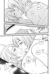 (C88) [MintWall (Miyata)] Atsukute Tokechaisou (Touken Ranbu) [English] [Sei]