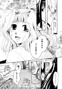 COMIC Megastore 2006-11