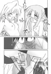 (C63) [0422SHOP (Kagome Beta)] Nanaya no Mori+ (Tsukihime)