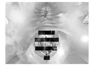 [Tsuchikuda Material] -Asakura Touru- Migawari Kyousei Mesu Kobi (THE iDOLM@STER: Shiny Colors)