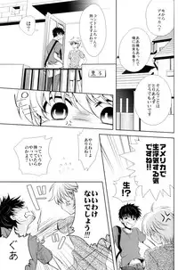 (C80) [mintgun (Fuki, Natsuki)] Boku no Natsu no Usui Hon (Kuroko no Basuke)