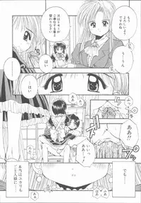 [Kamogawa Tanuki] ELEMENTS