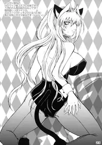 (C75) [Honey Bump (Nakatsugawa Minoru)] Tsukiumi-tan O-panty Mieteru yo (Sekirei) [English]