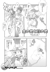 (C75) [RiceCandy (Sakakibara Kaorunaoko)] Nakayoshi Kuro Ichigo (Touhou Project)