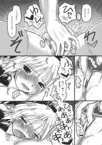 (COMIC1☆4) [Ankoku-Bousougumi (Ainu Mania)] Myon na Kayoizuma wa Ikaga deshou? (Touhou Project)
