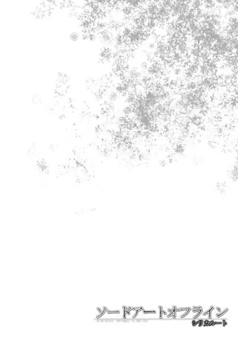 Sword Art Offline - Silica Route