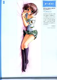Dakimakura Cover Gashuu Bishoujo Game Hen