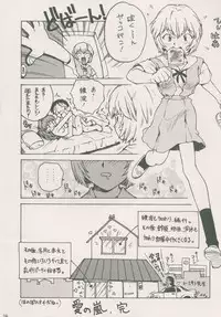 (C50) [Karmaya (Karma Tatsurou)] Karma III (Neon Genesis Evangelion)