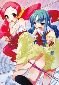 (C78) [Medical Berry, Techno Fuyuno (ha-ru, Fuyuno Haruaki)] Catcher in the Flower (Heartcatch Precure)