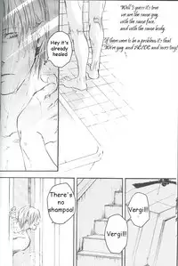 (C69) [GD Mechano (Izumi Yakumo)] ~La Vita E Rosa~ (Devil May Cry 3) [English]